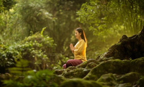 7-Day Ultimate Wellness Retreat